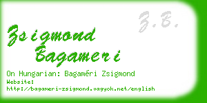 zsigmond bagameri business card