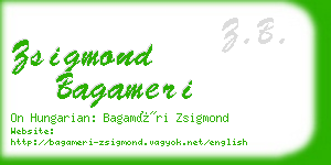 zsigmond bagameri business card